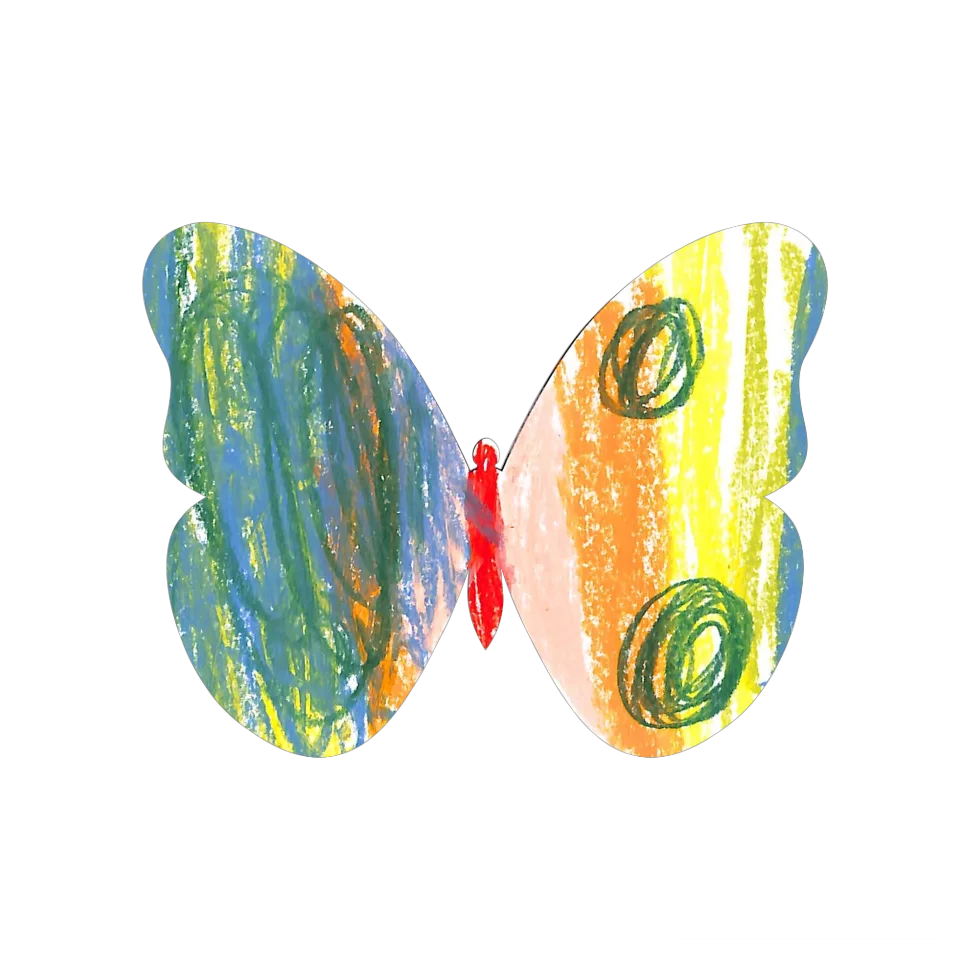 Original Butterfly Image