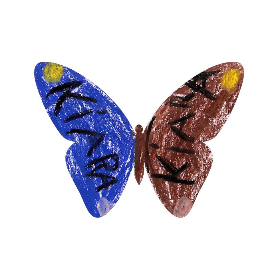Original Butterfly Image