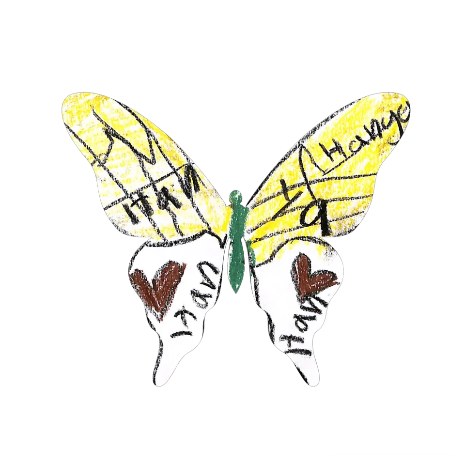 Original Butterfly Image