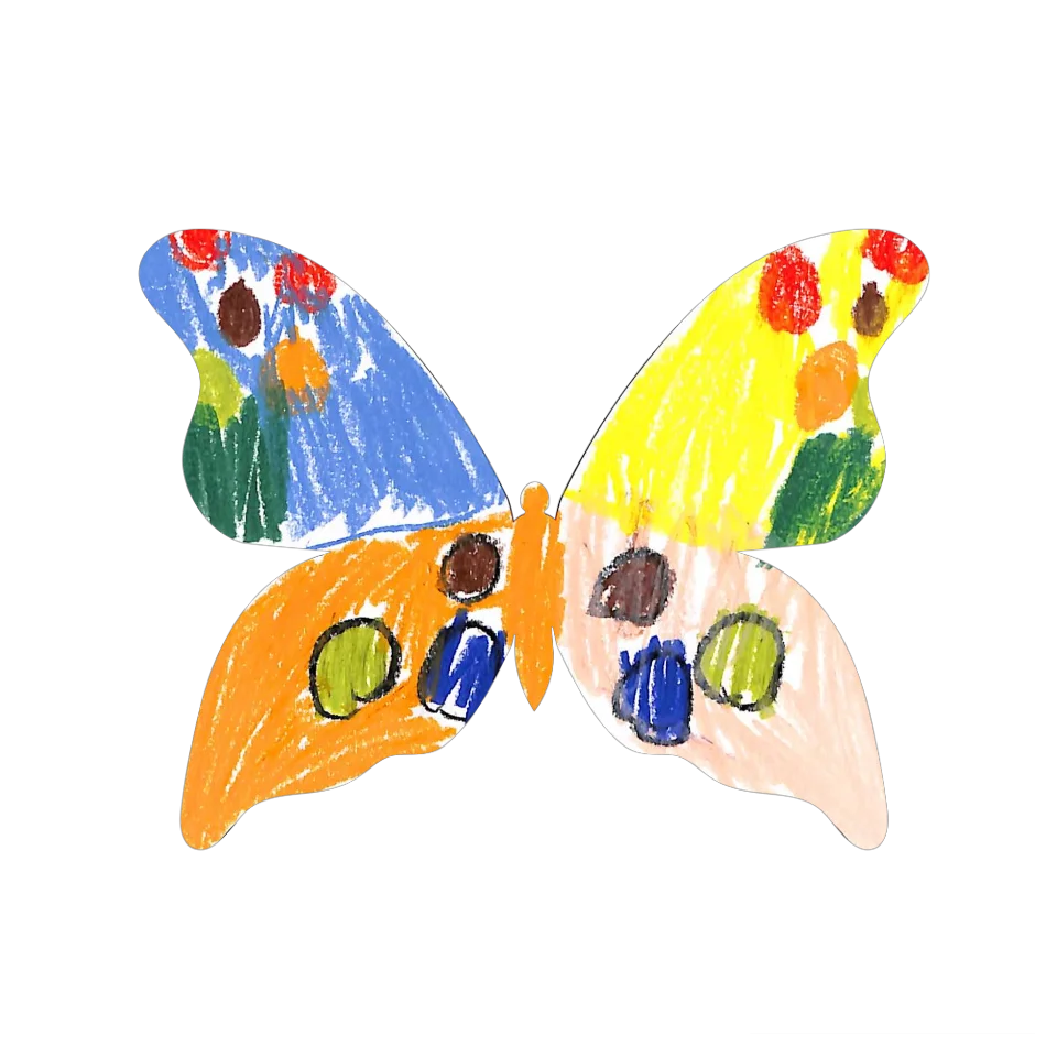 Original Butterfly Image