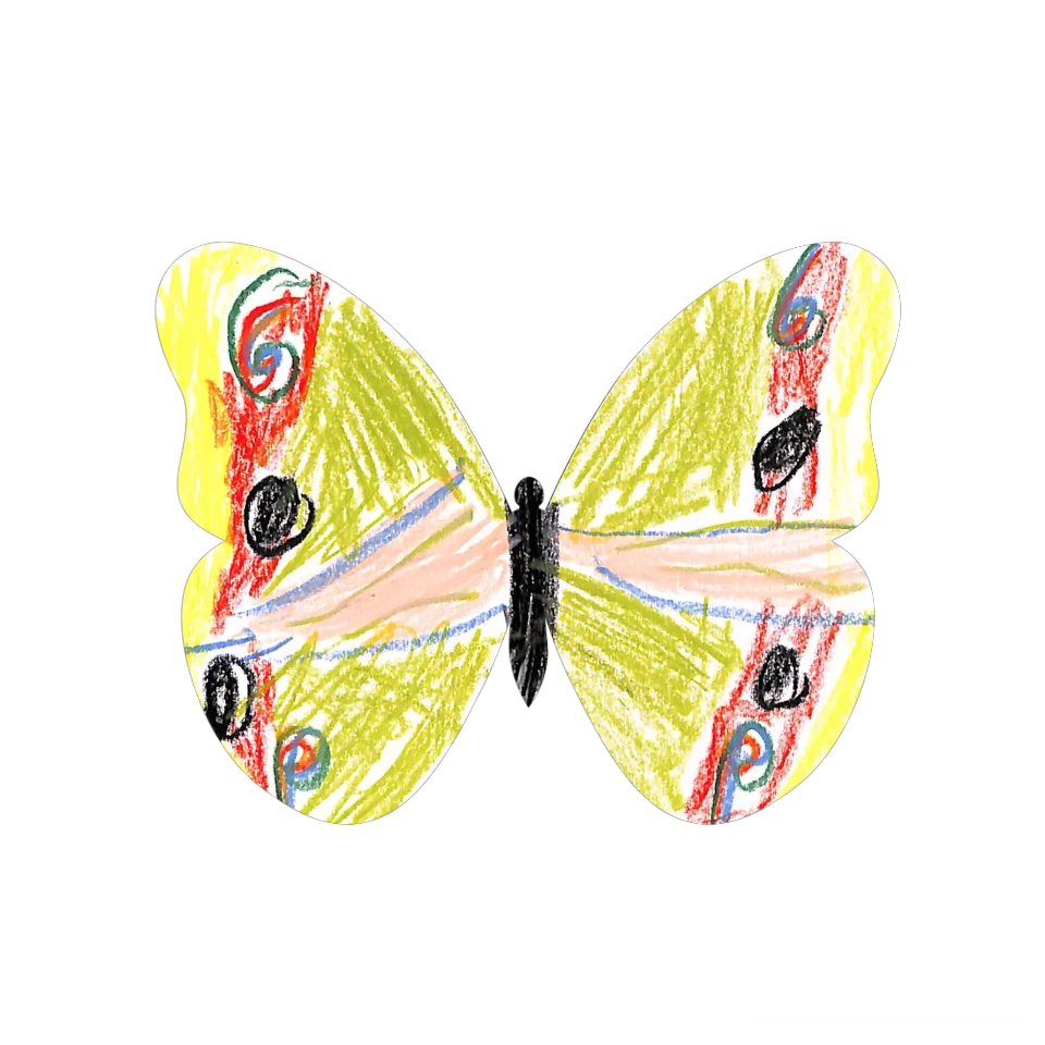 Original Butterfly Image
