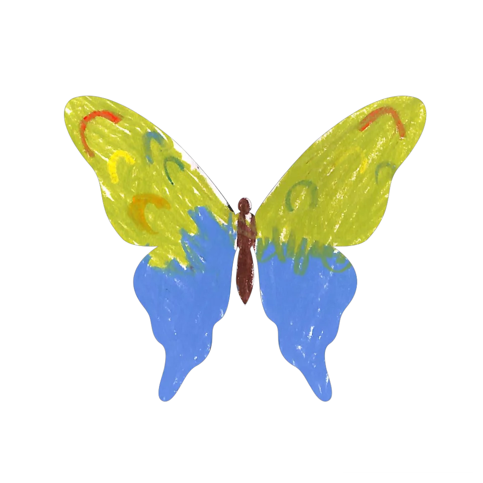 Original Butterfly Image