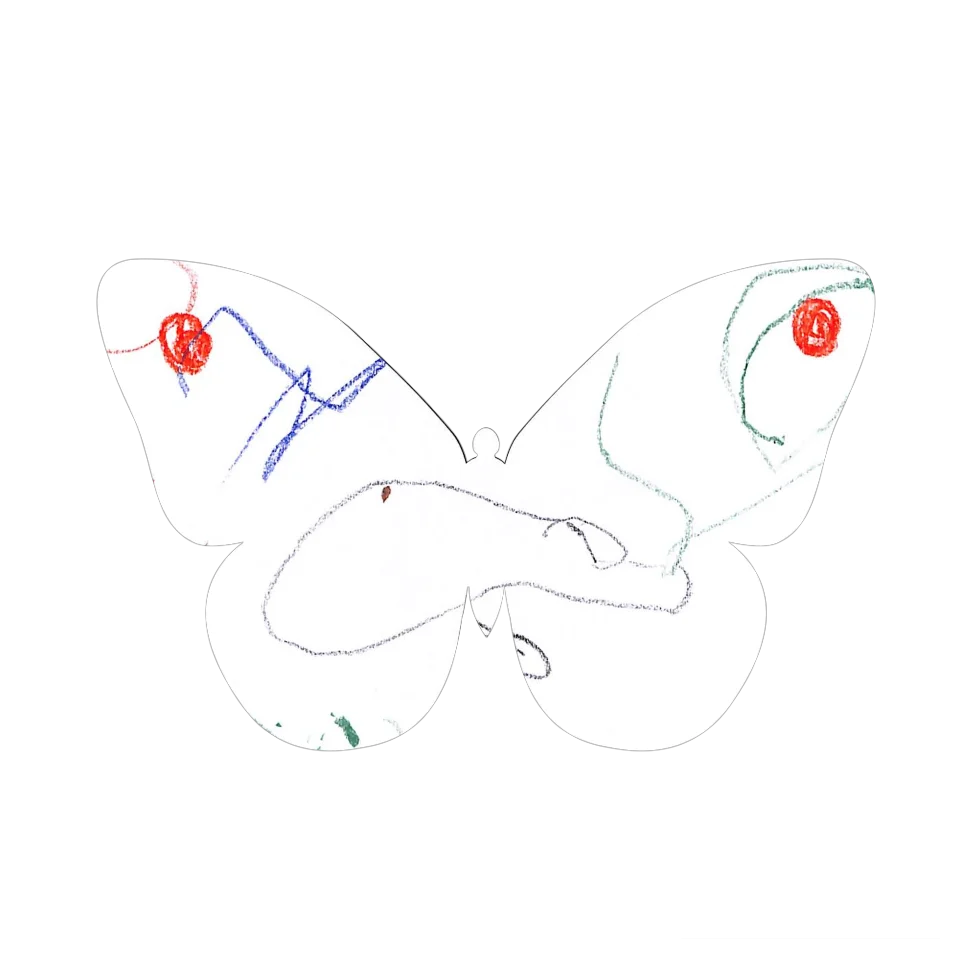 Original Butterfly Image