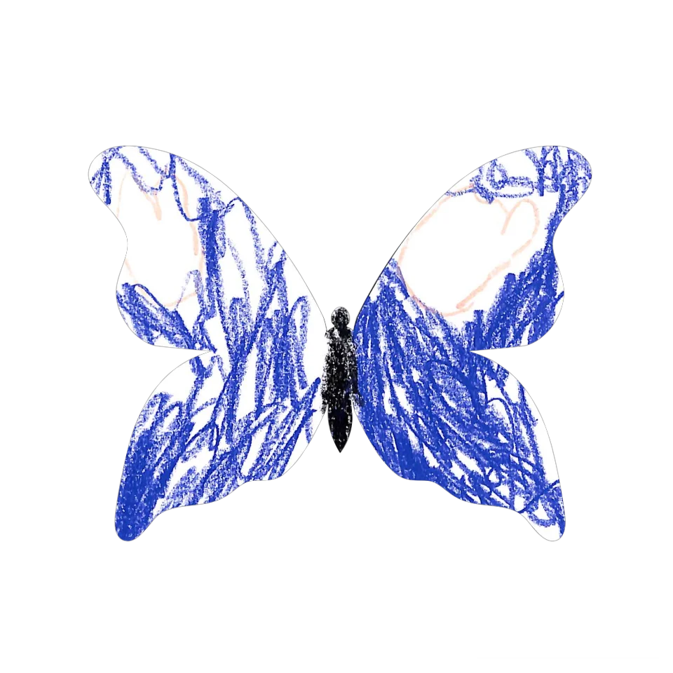 Original Butterfly Image