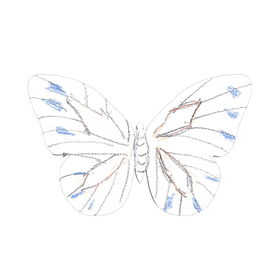 Original Butterfly Image