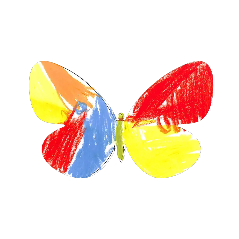 Original Butterfly Image