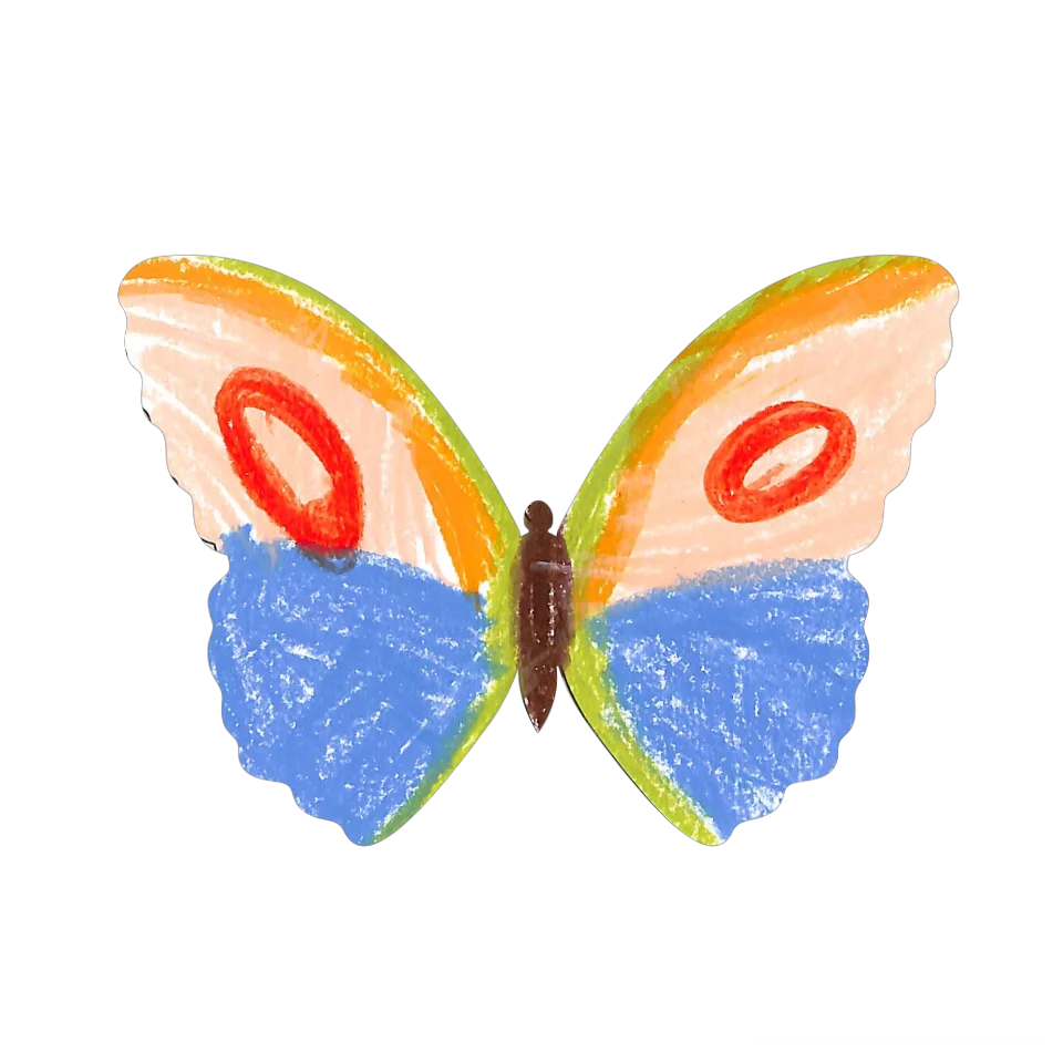 Original Butterfly Image
