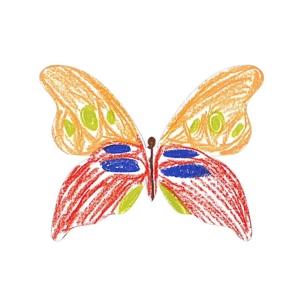 Original Butterfly Image