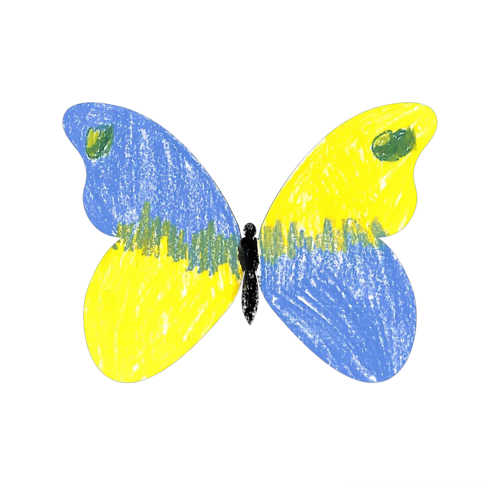 Original Butterfly Image