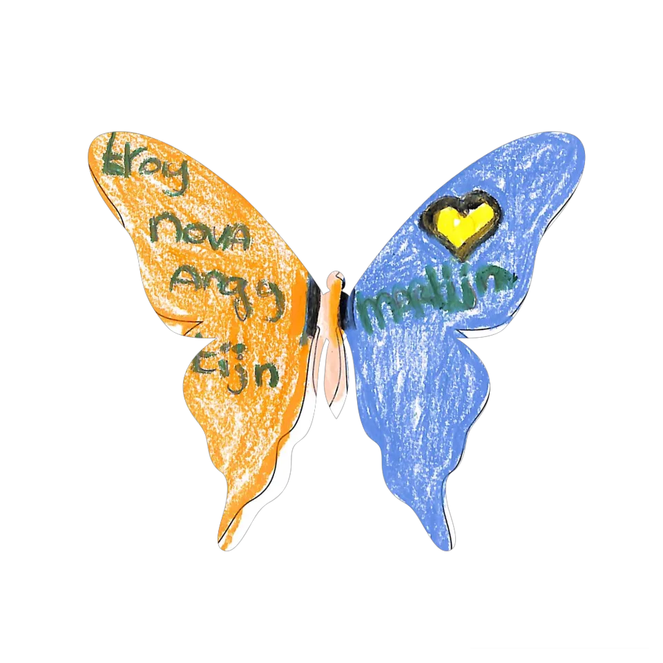 Original Butterfly Image