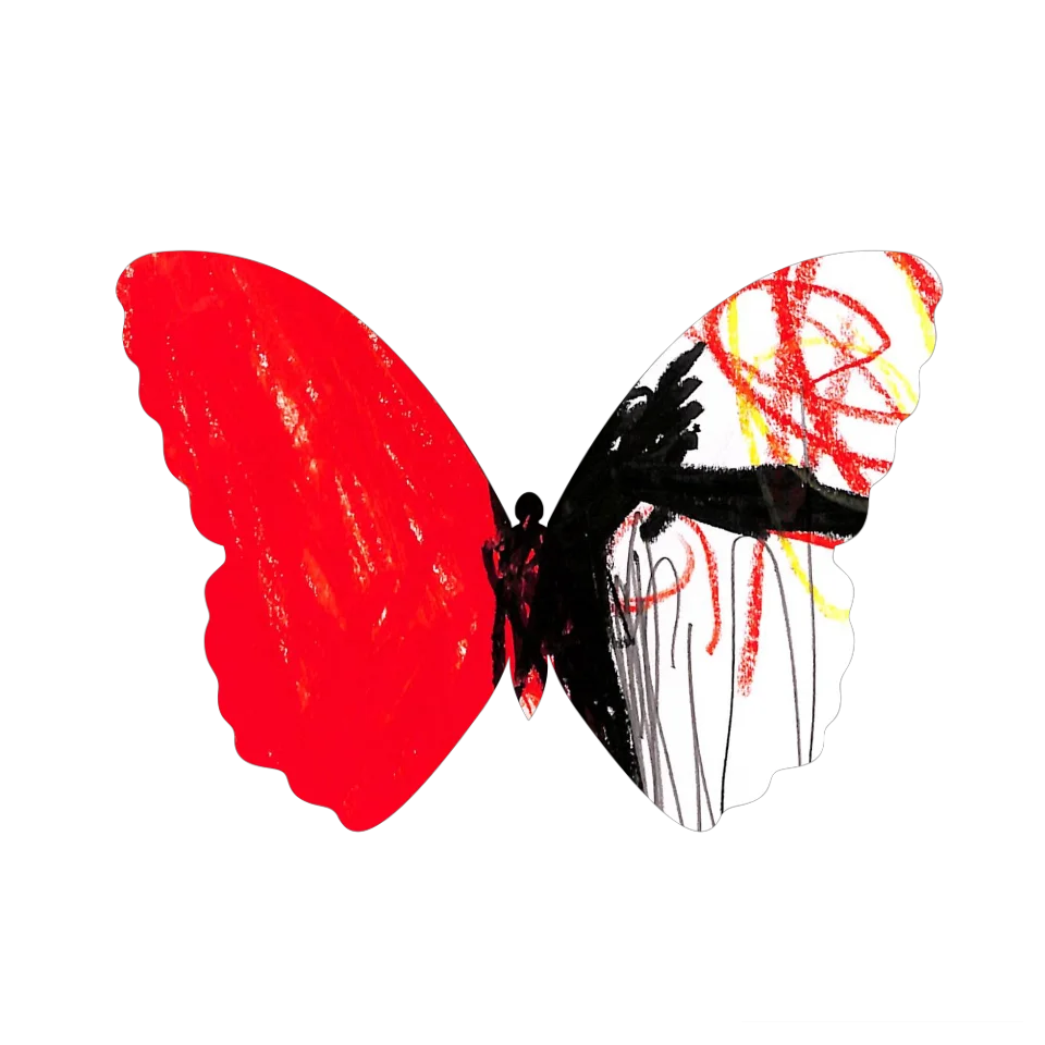 Original Butterfly Image