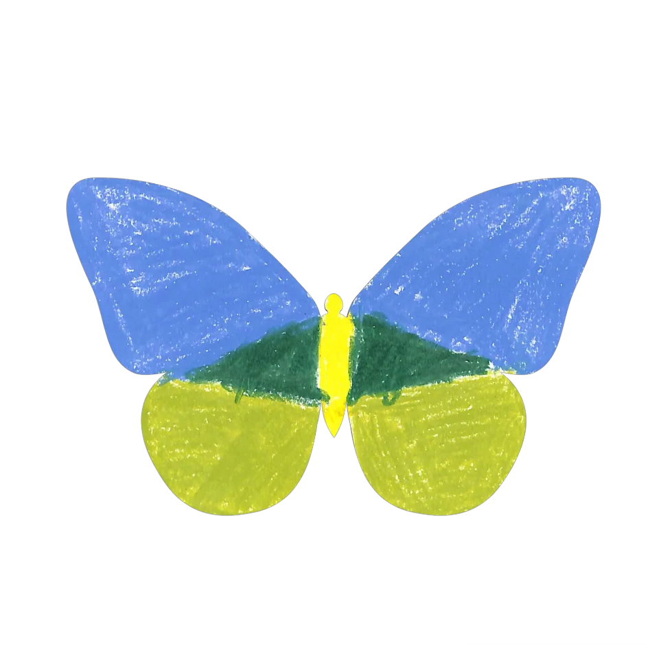 Original Butterfly Image