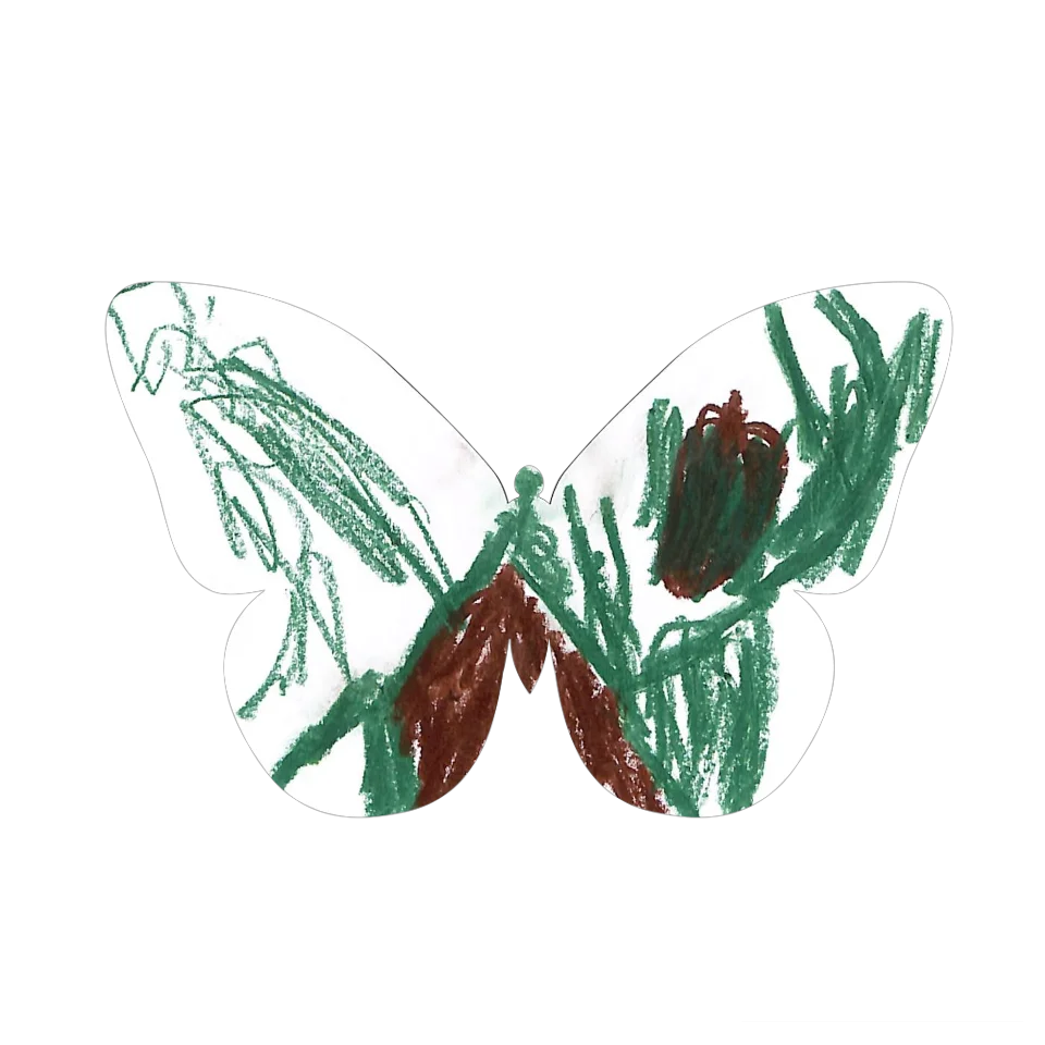 Original Butterfly Image