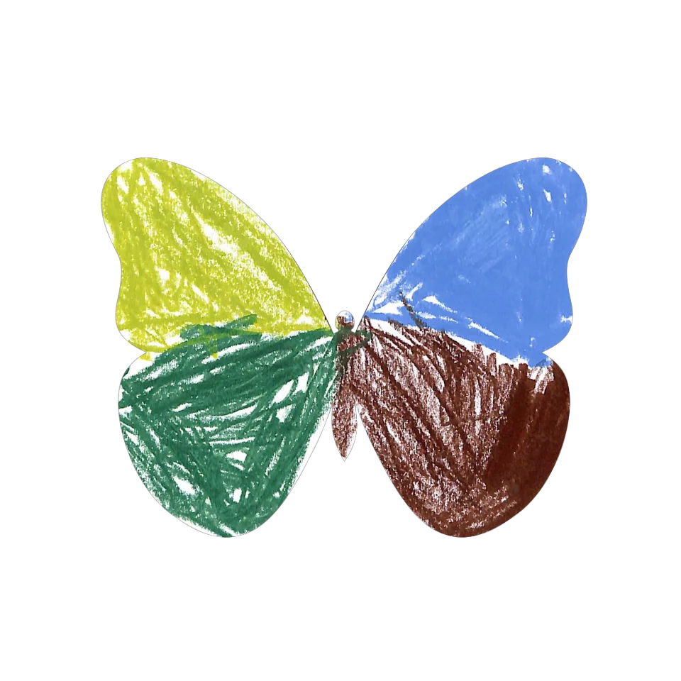 Original Butterfly Image