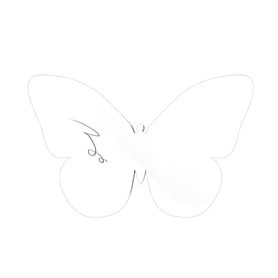 Original Butterfly Image
