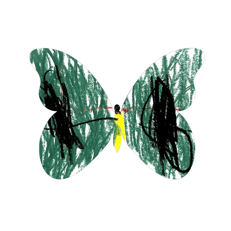 Original Butterfly Image
