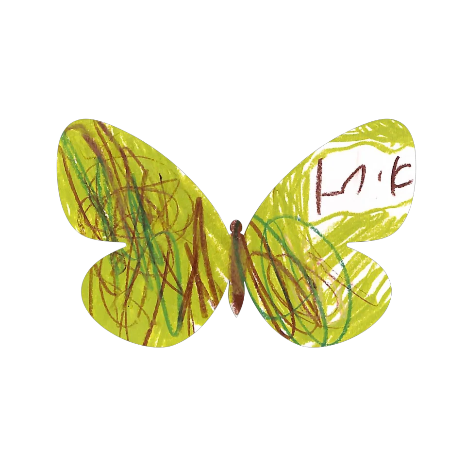 Original Butterfly Image