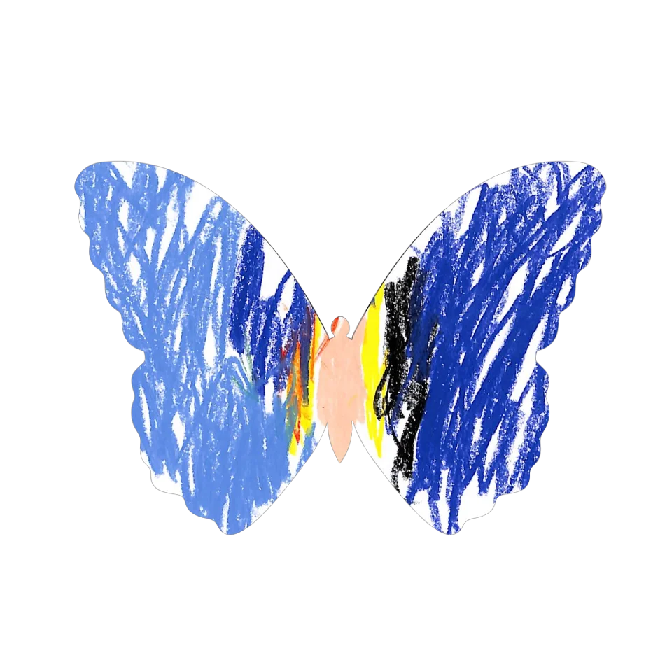 Original Butterfly Image