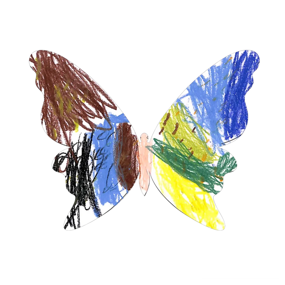 Original Butterfly Image