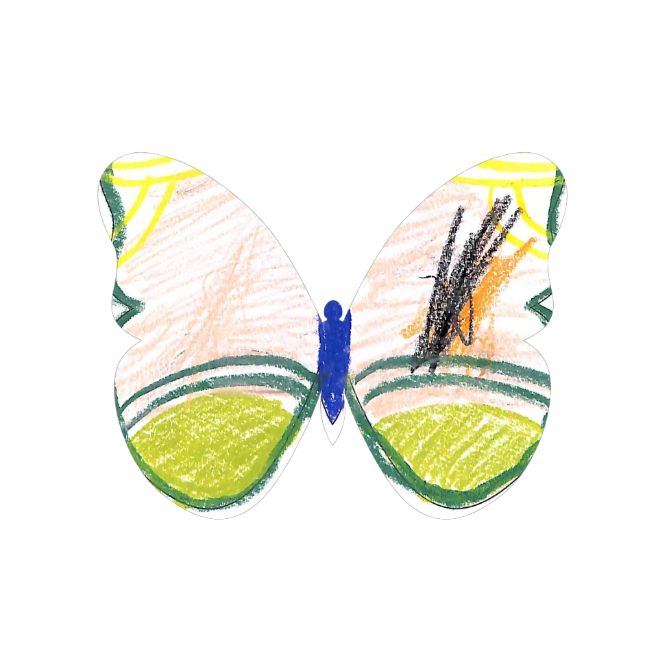 Original Butterfly Image