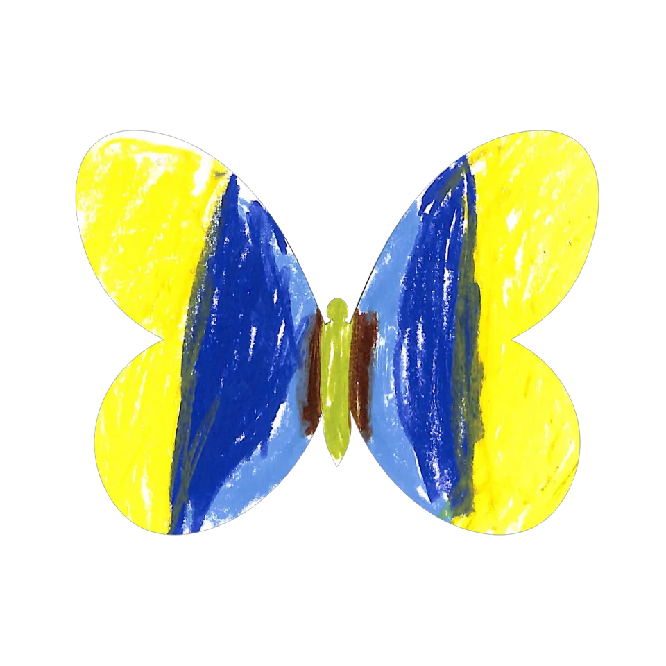 Original Butterfly Image