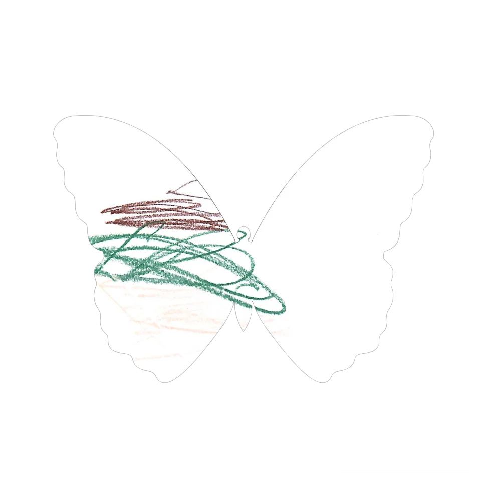 Original Butterfly Image