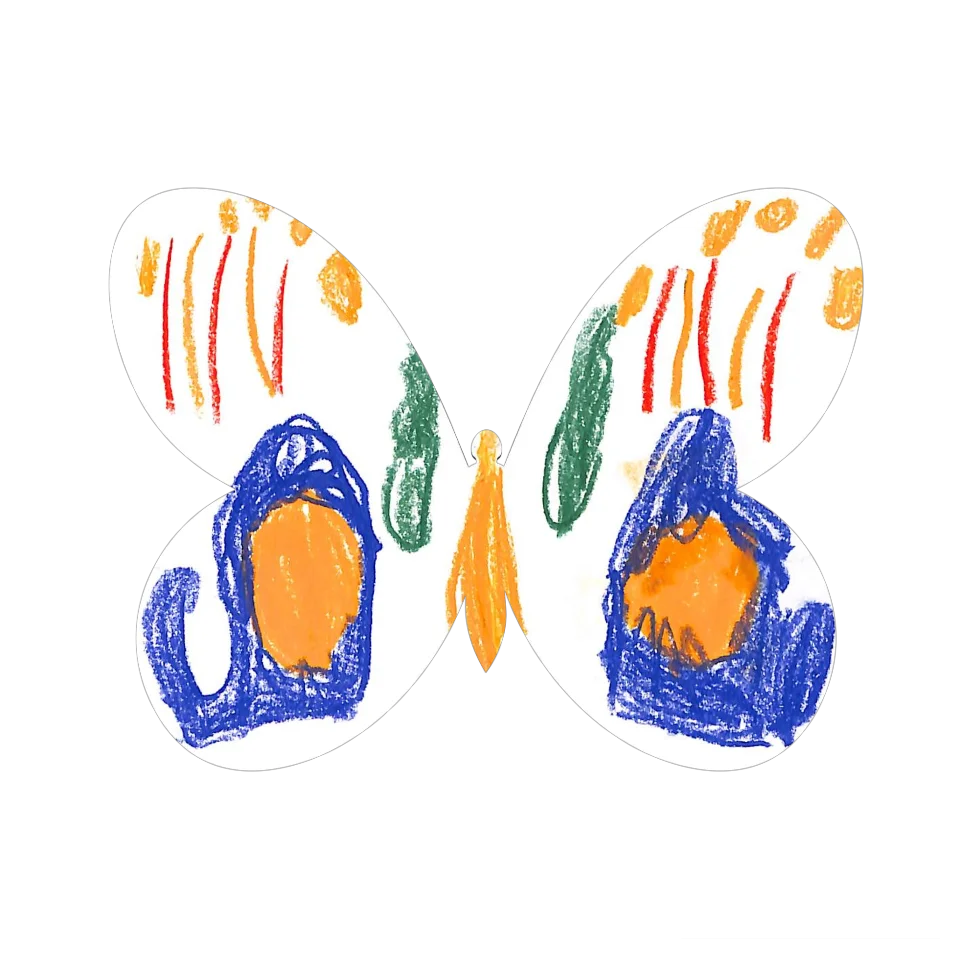 Original Butterfly Image