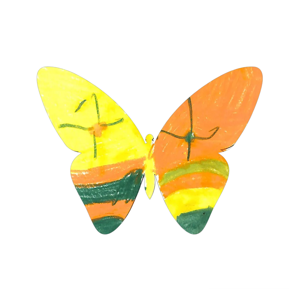 Original Butterfly Image