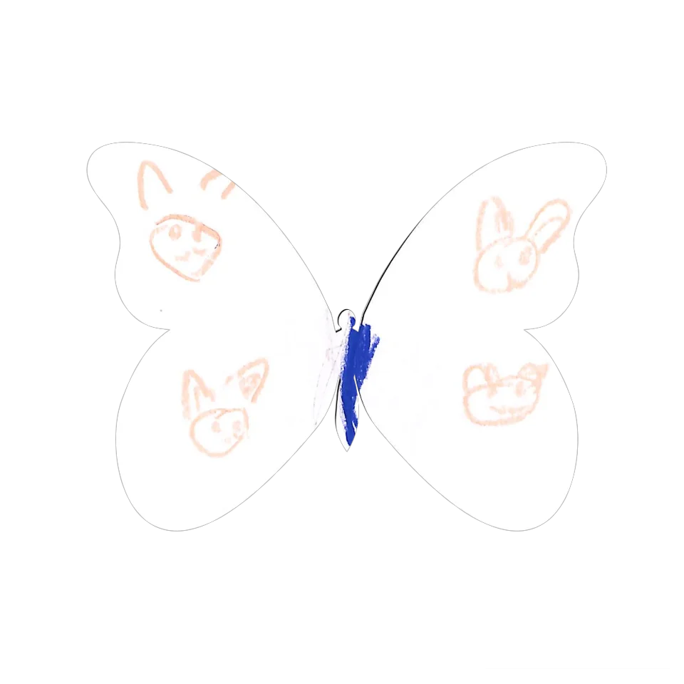 Original Butterfly Image