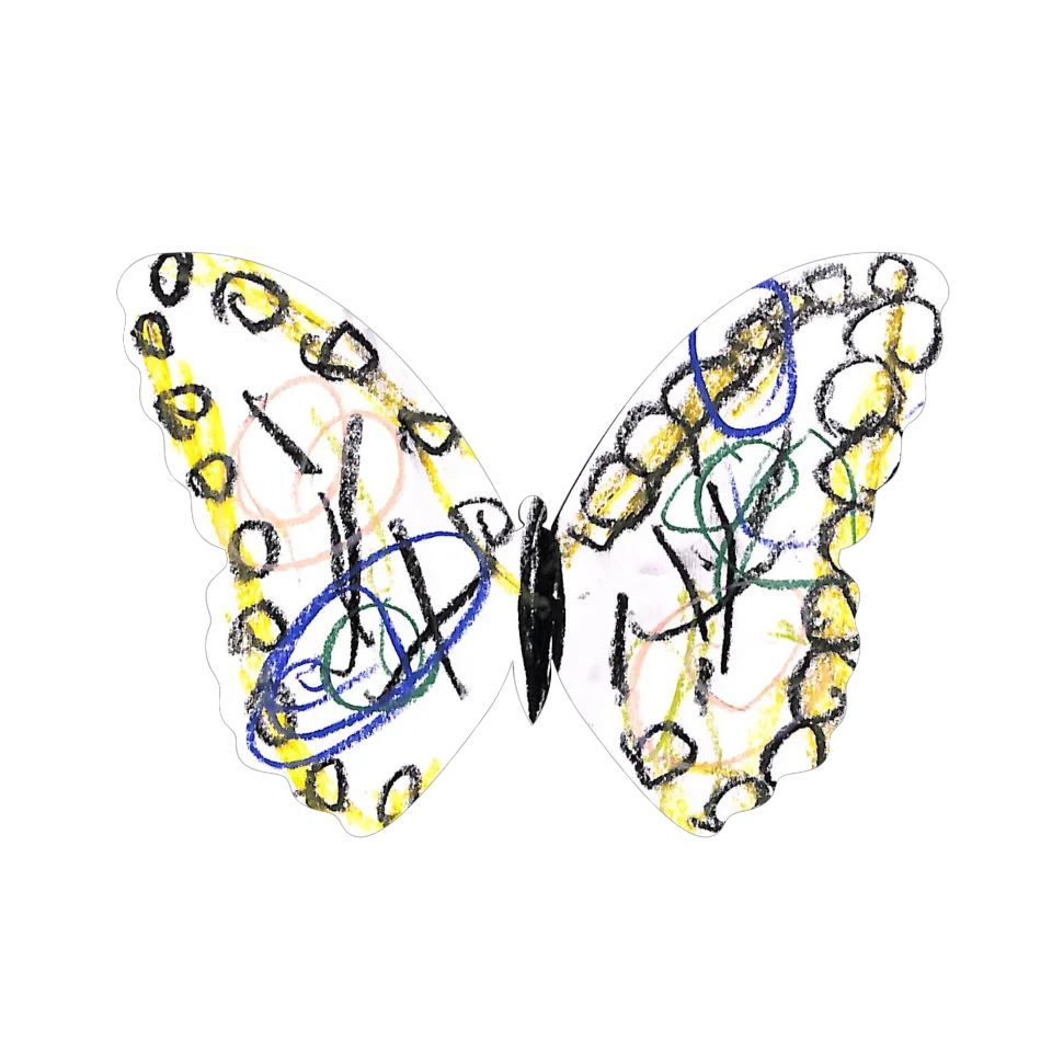 Original Butterfly Image