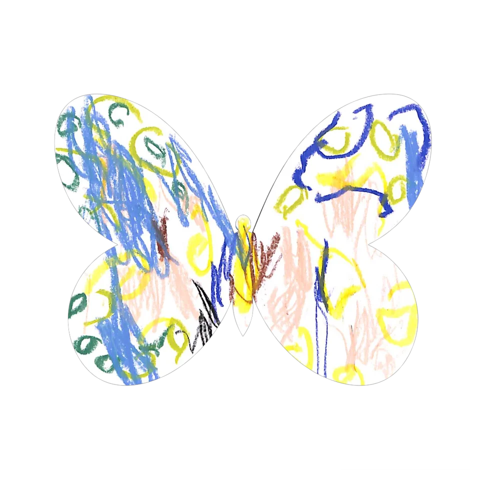 Original Butterfly Image