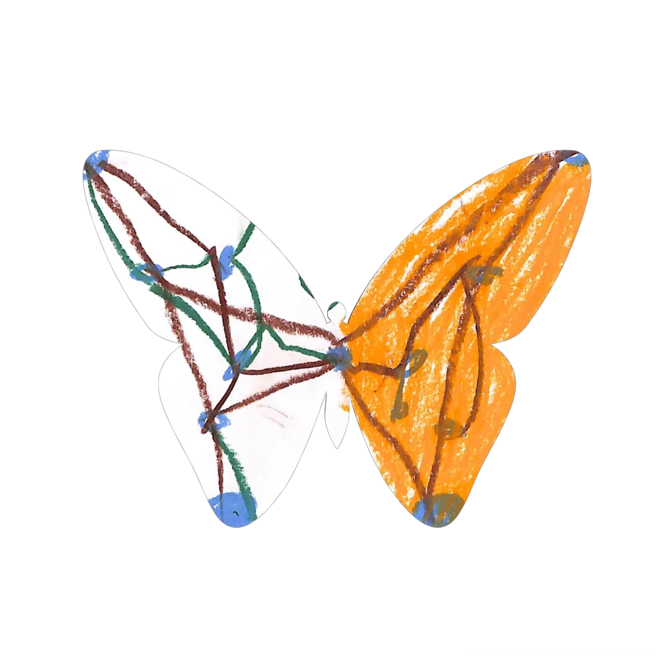 Original Butterfly Image