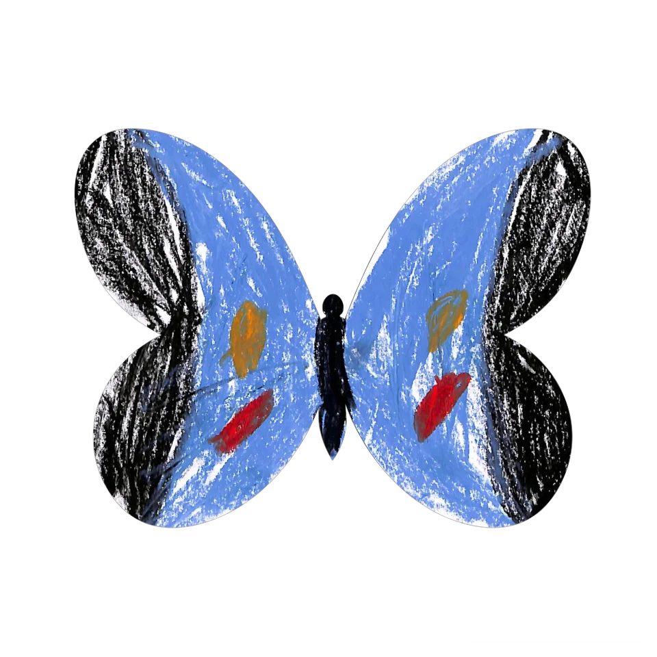 Original Butterfly Image
