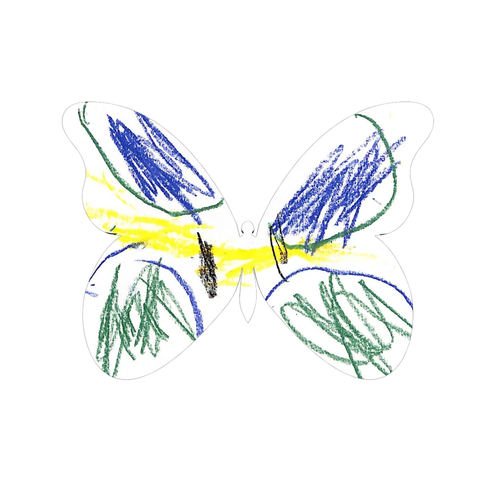 Original Butterfly Image