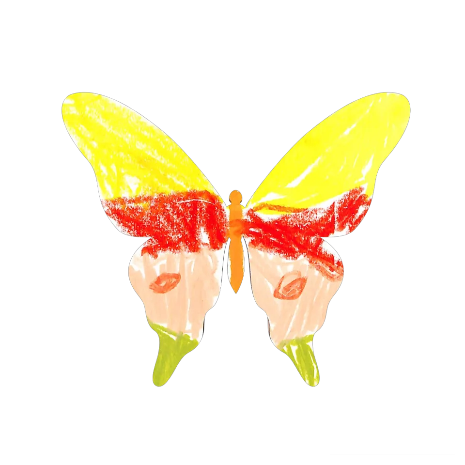 Original Butterfly Image