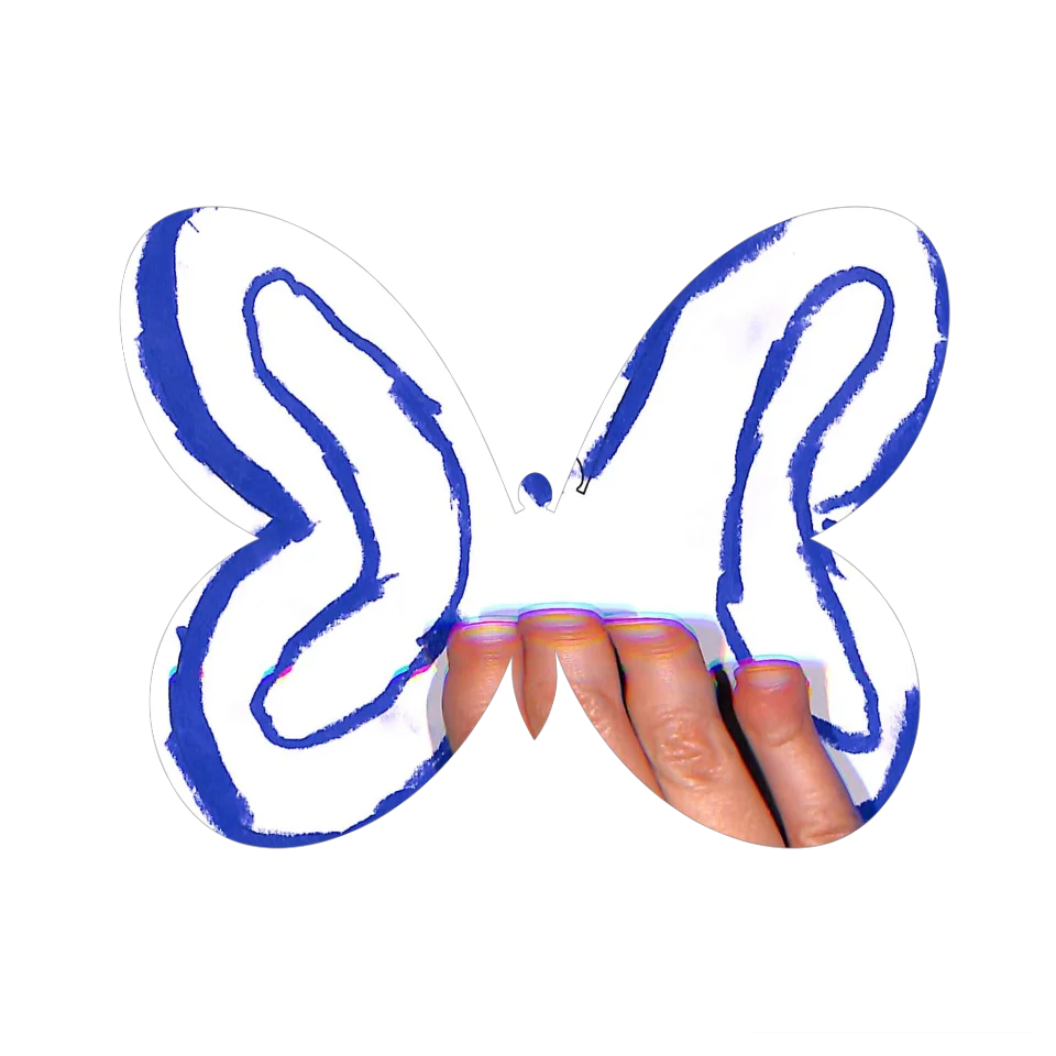 Original Butterfly Image