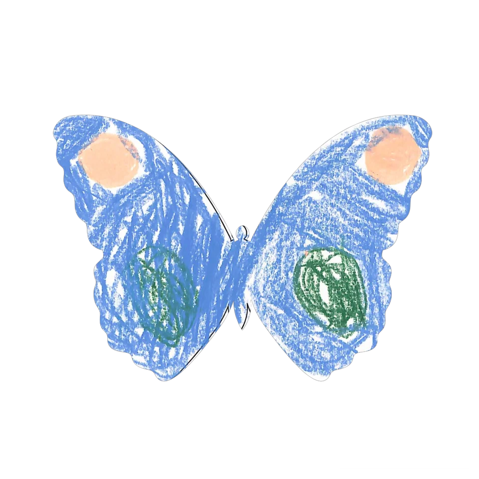 Original Butterfly Image