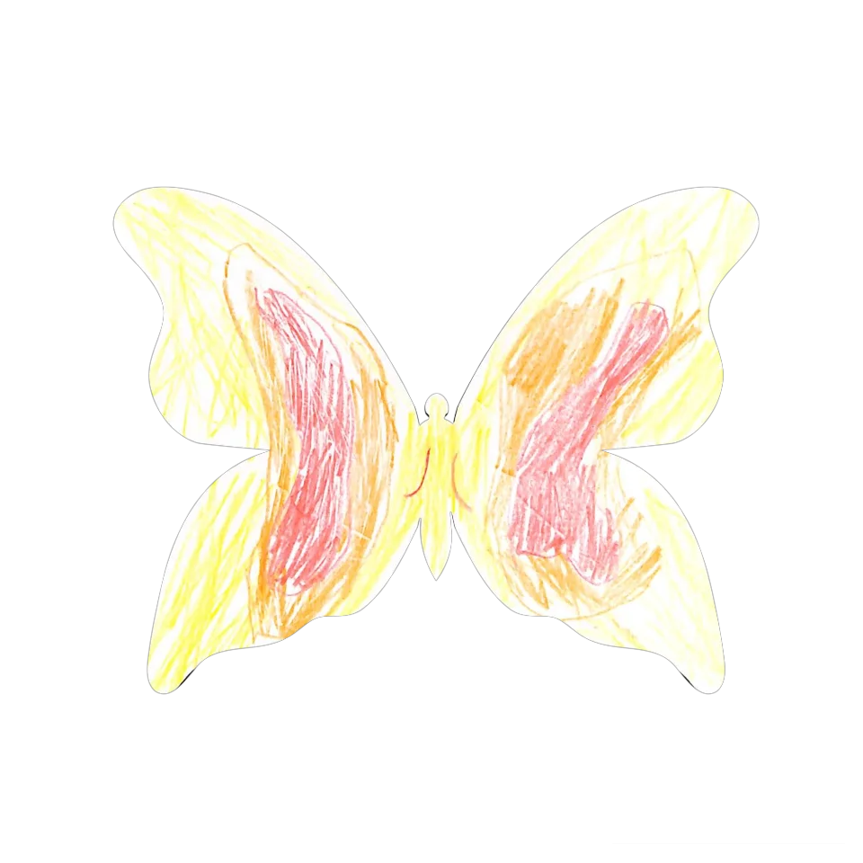 Original Butterfly Image