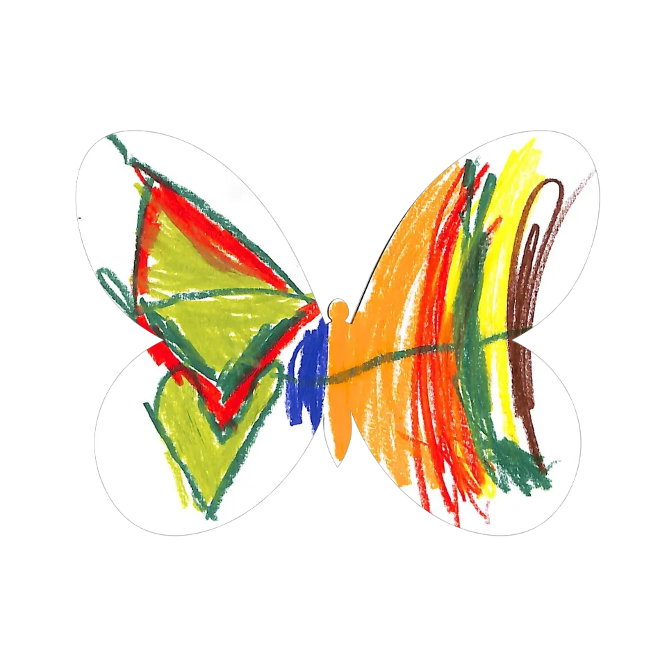 Original Butterfly Image