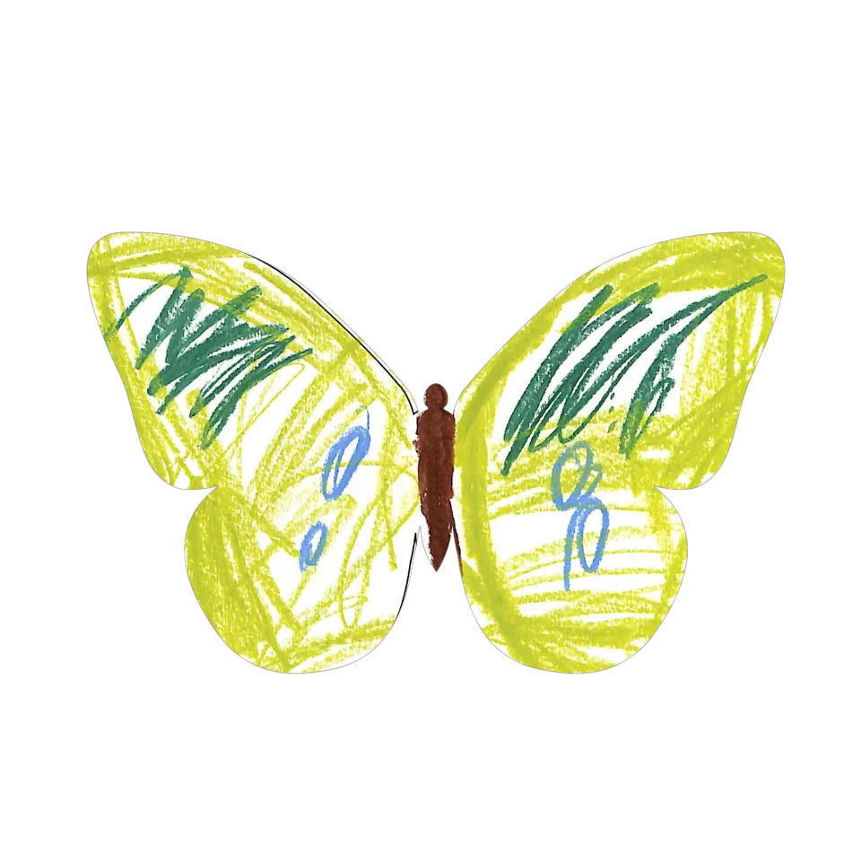 Original Butterfly Image