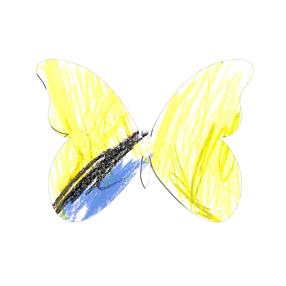 Original Butterfly Image