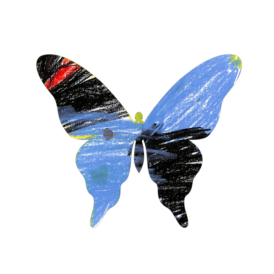 Original Butterfly Image