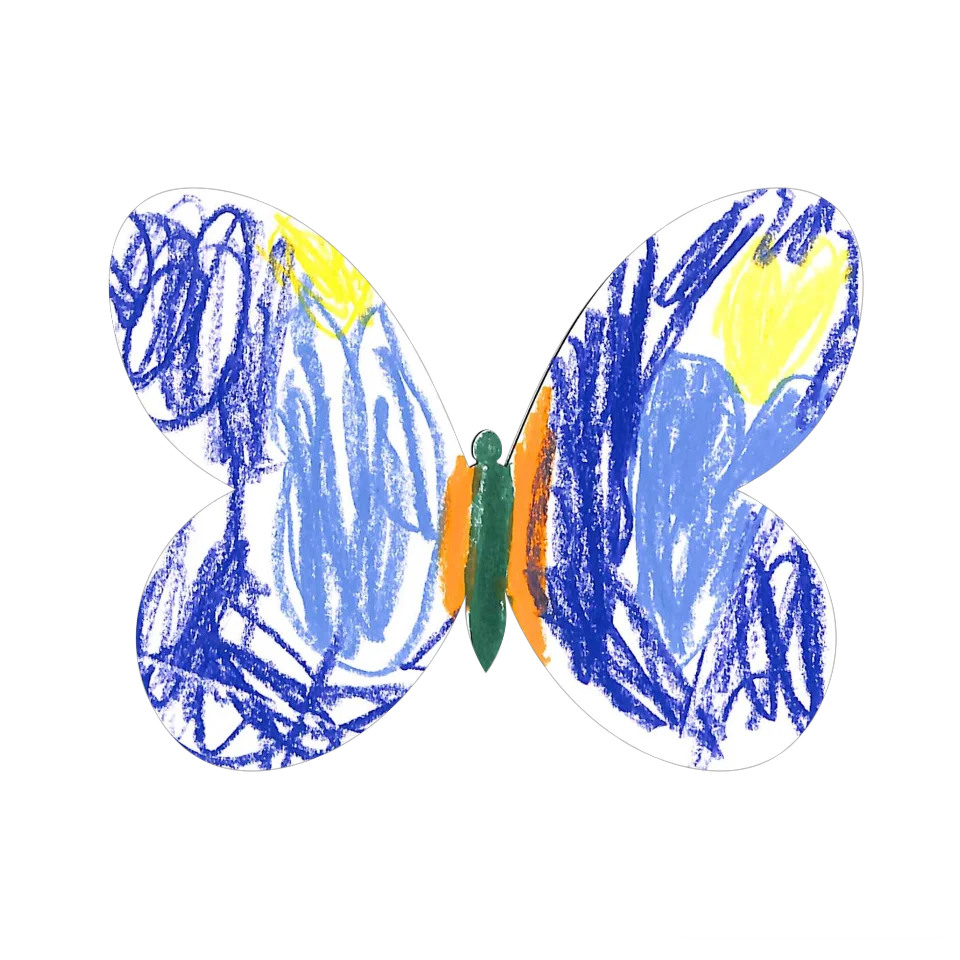Original Butterfly Image