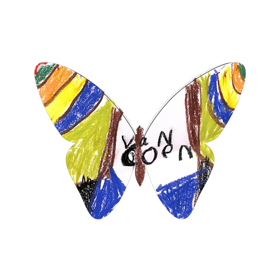 Original Butterfly Image