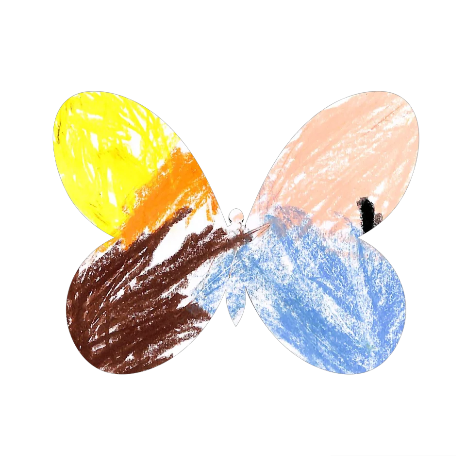 Original Butterfly Image