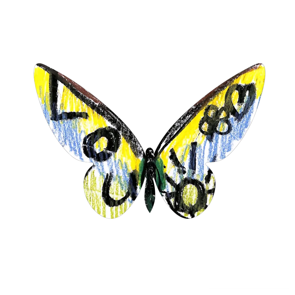 Original Butterfly Image