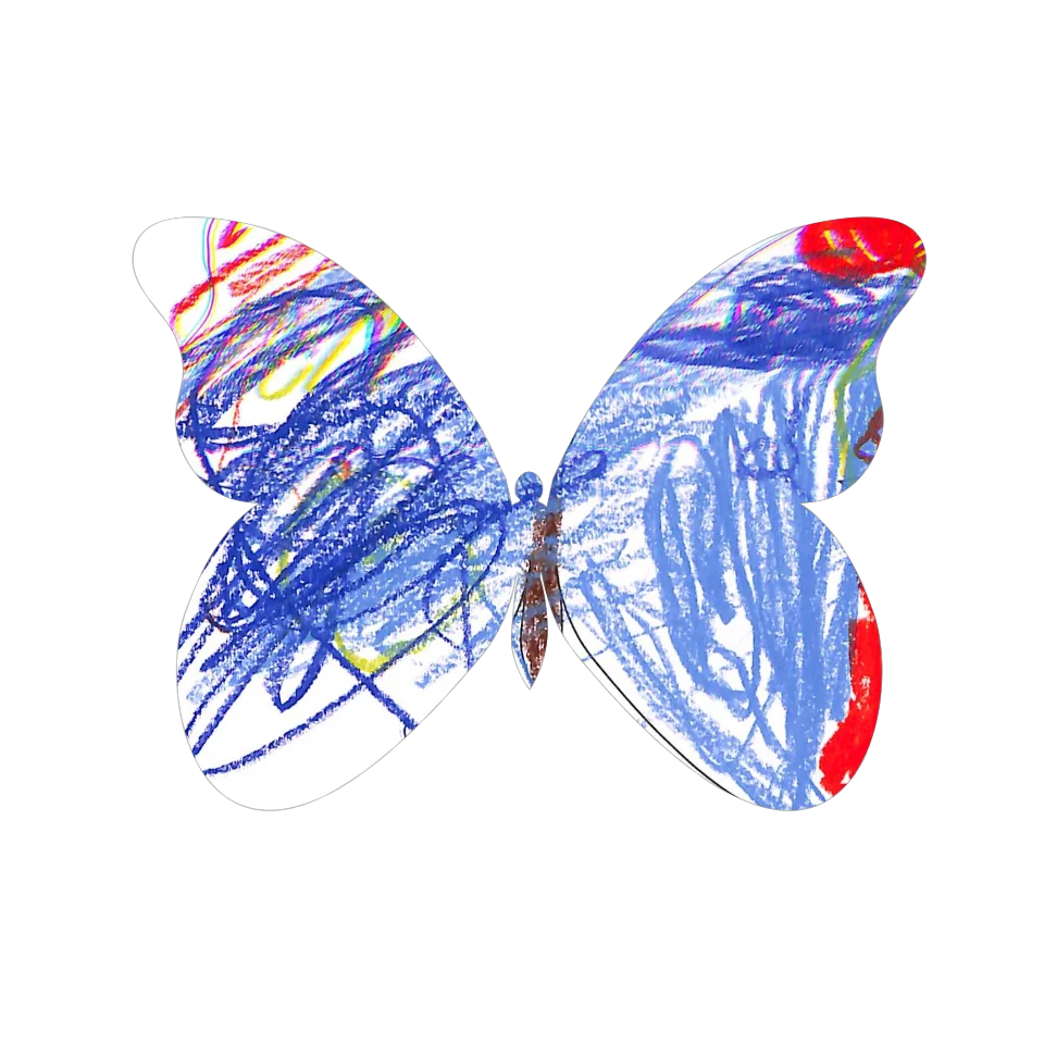 Original Butterfly Image