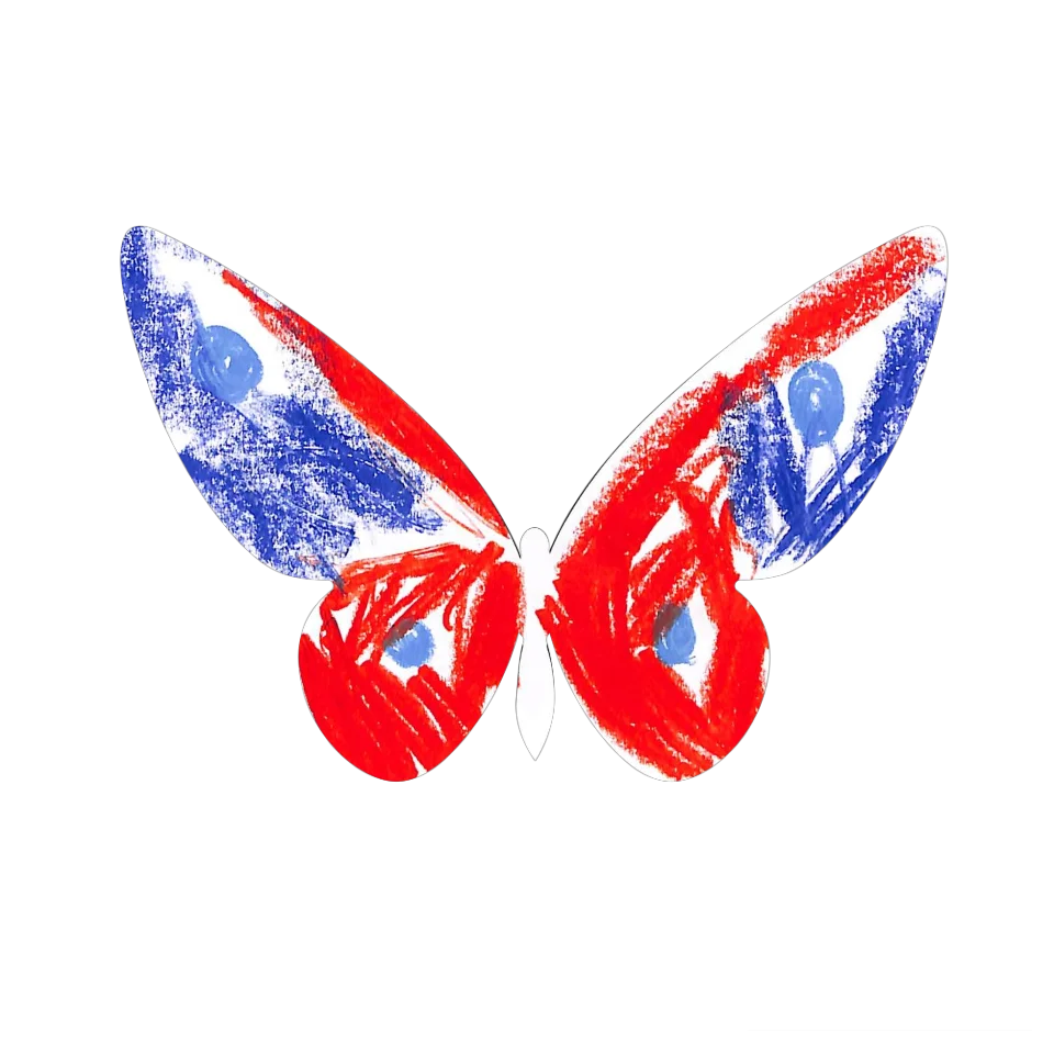 Original Butterfly Image