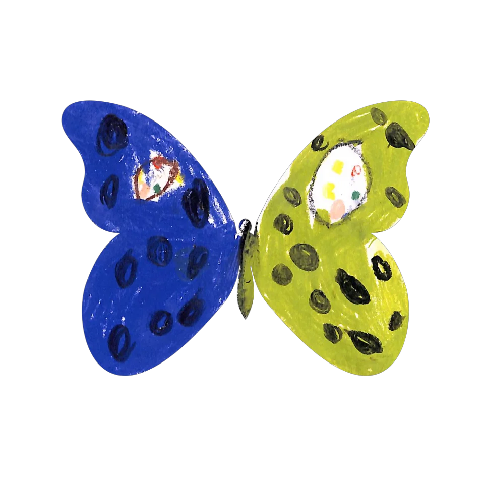 Original Butterfly Image