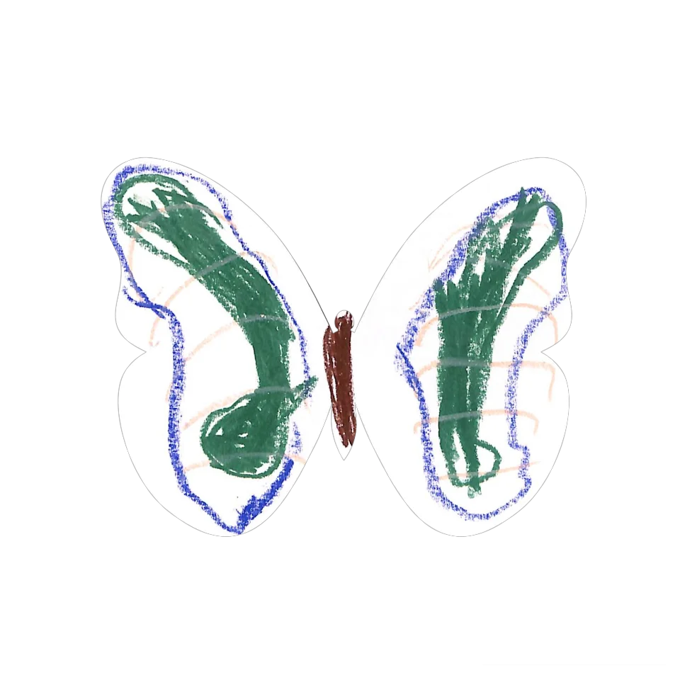 Original Butterfly Image
